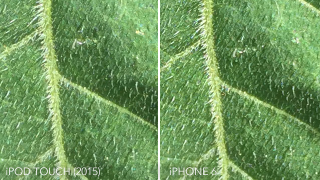 Illustration for article titled The New iPod Touch Camera Falls Short—We Know Because We Tried It